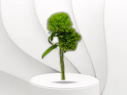 Green Cornsh flower